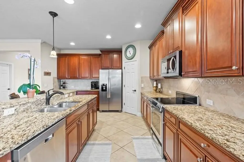 30201 Hackney Loop Mount Dora FL 32757