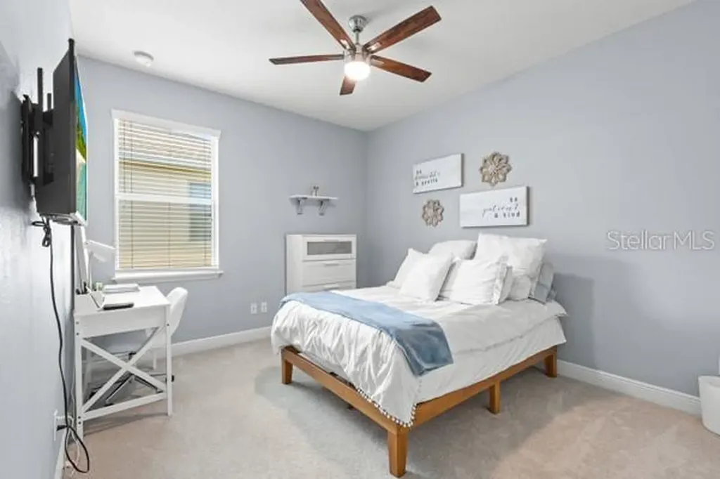 30201 Hackney Loop Mount Dora FL 32757