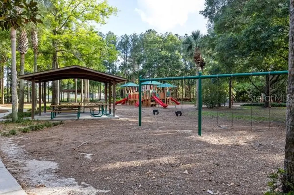30201 Hackney Loop Mount Dora FL 32757