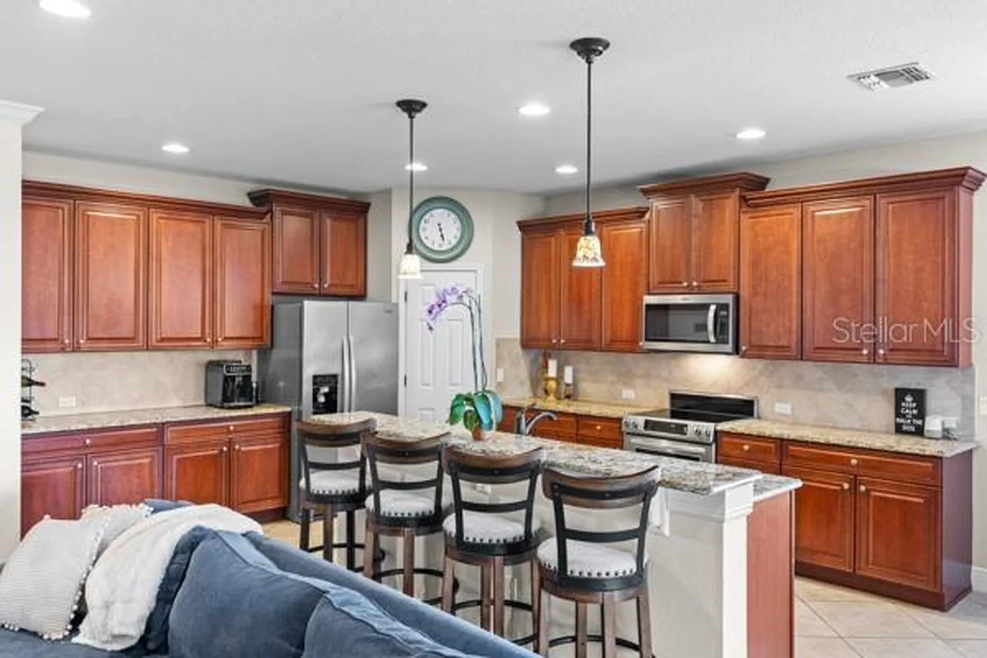 30201 Hackney Loop Mount Dora FL 32757