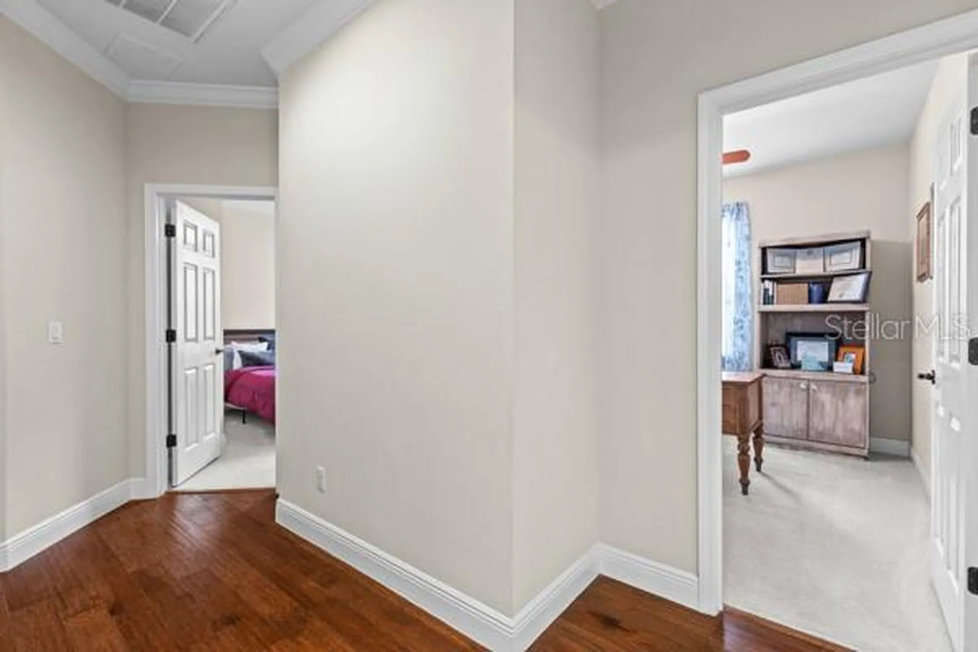 30201 Hackney Loop Mount Dora FL 32757