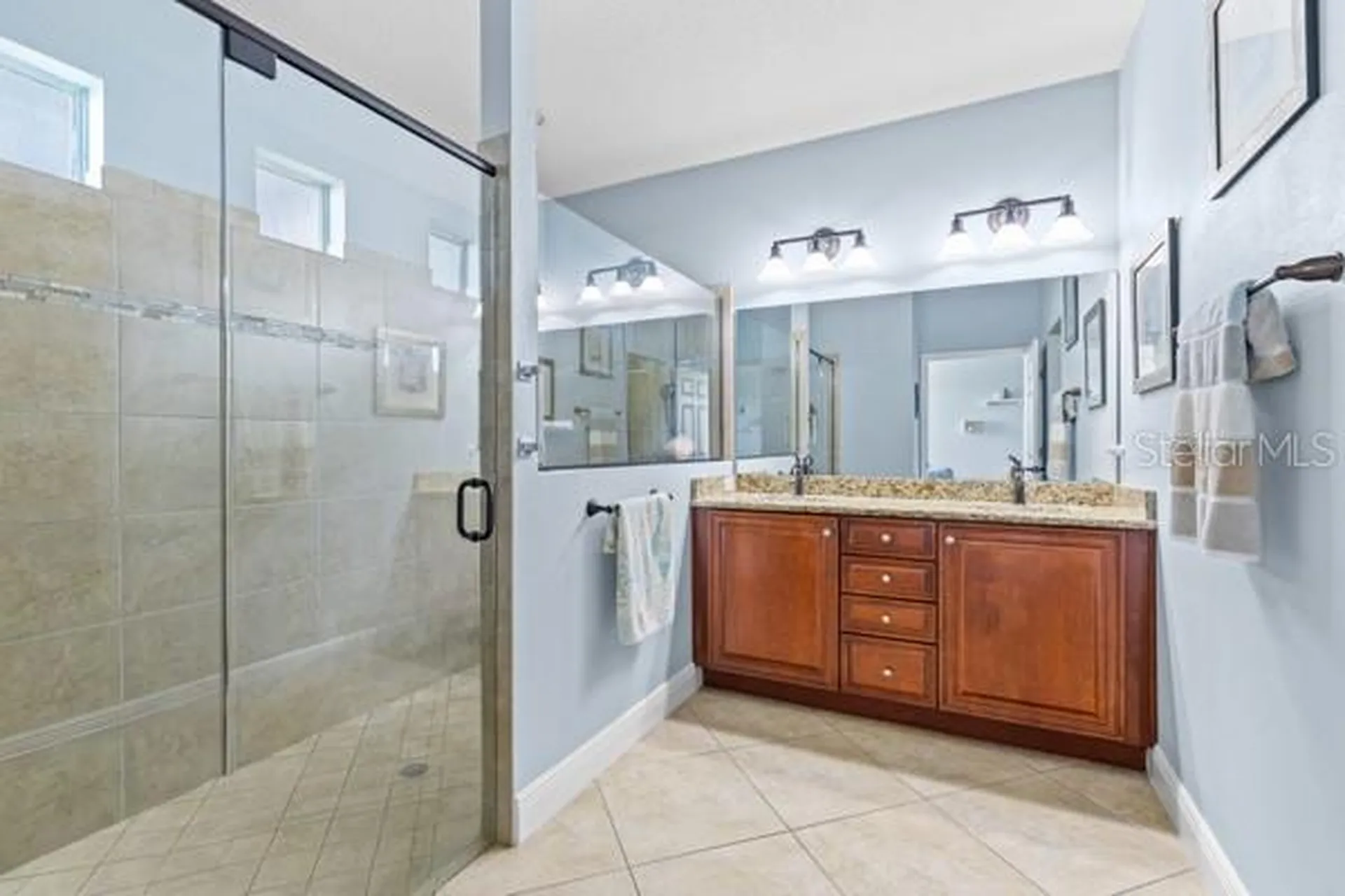 30201 Hackney Loop Mount Dora FL 32757