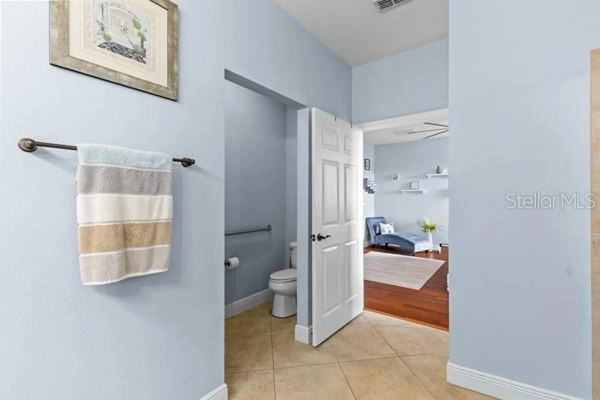 30201 Hackney Loop Mount Dora FL 32757