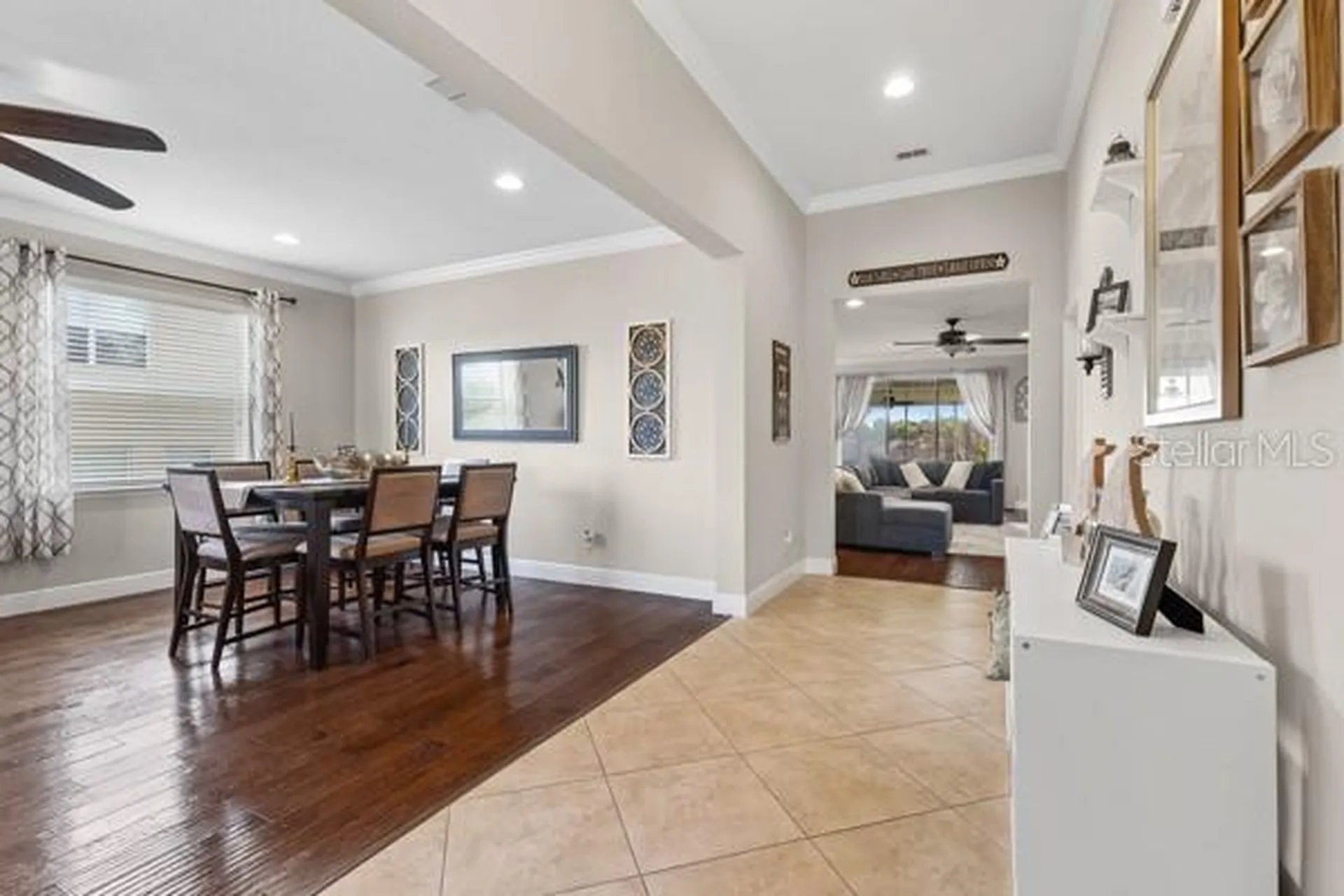 30201 Hackney Loop Mount Dora FL 32757