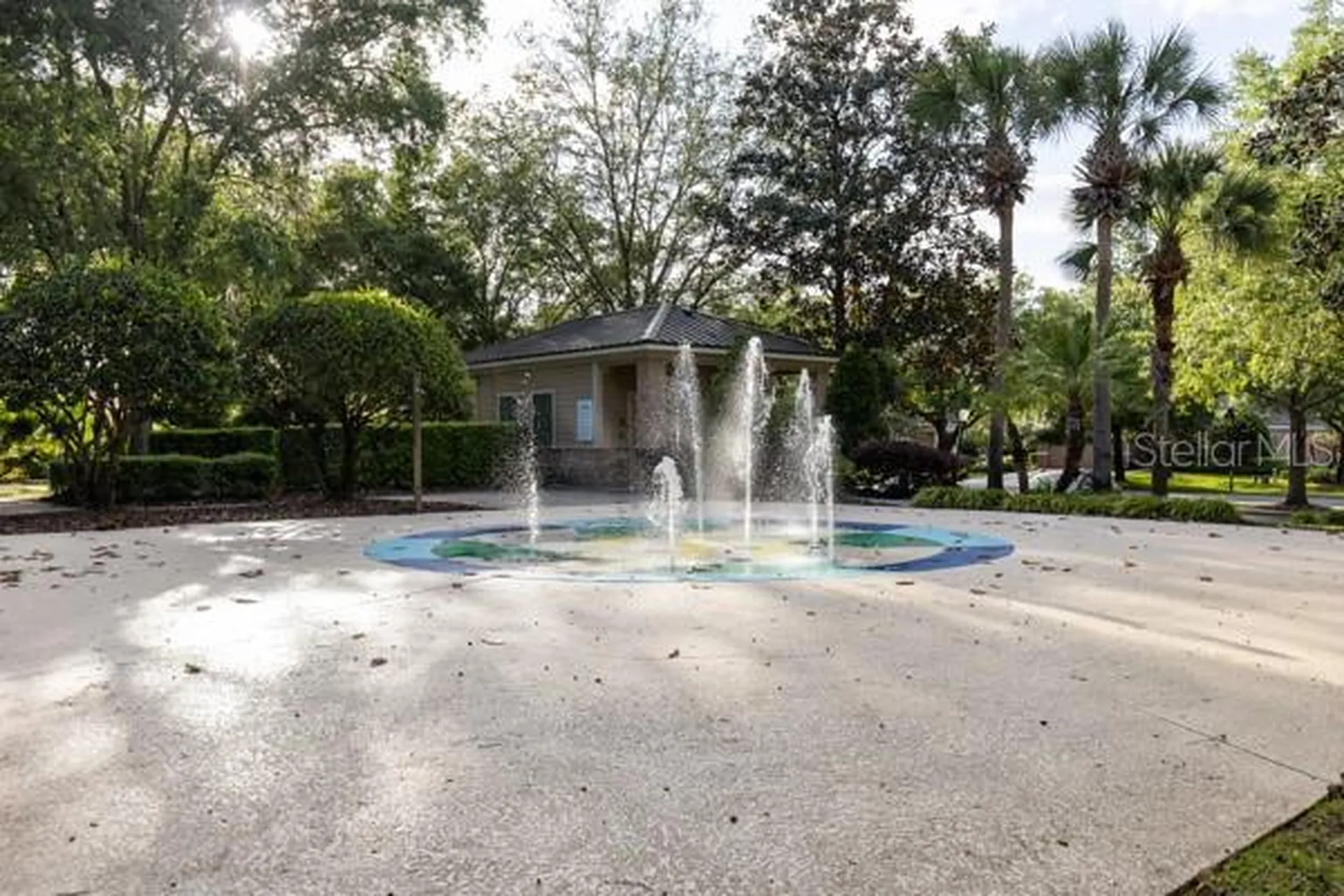 30201 Hackney Loop Mount Dora FL 32757