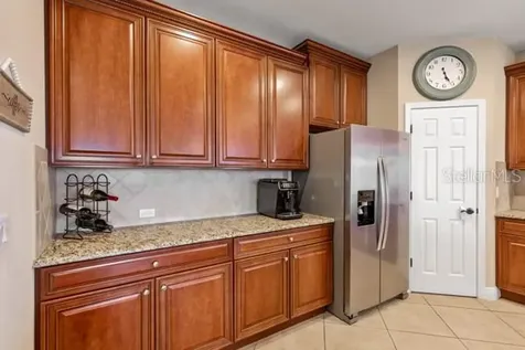 30201 Hackney Loop Mount Dora FL 32757