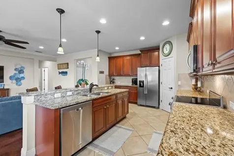30201 Hackney Loop Mount Dora FL 32757