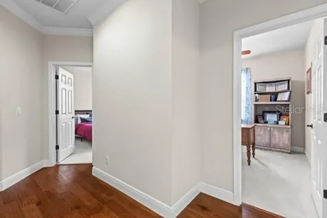 30201 Hackney Loop Mount Dora FL 32757