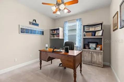 30201 Hackney Loop Mount Dora FL 32757