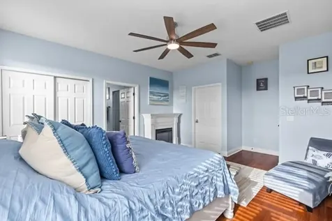 30201 Hackney Loop Mount Dora FL 32757