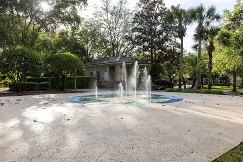 30201 Hackney Loop Mount Dora FL 32757