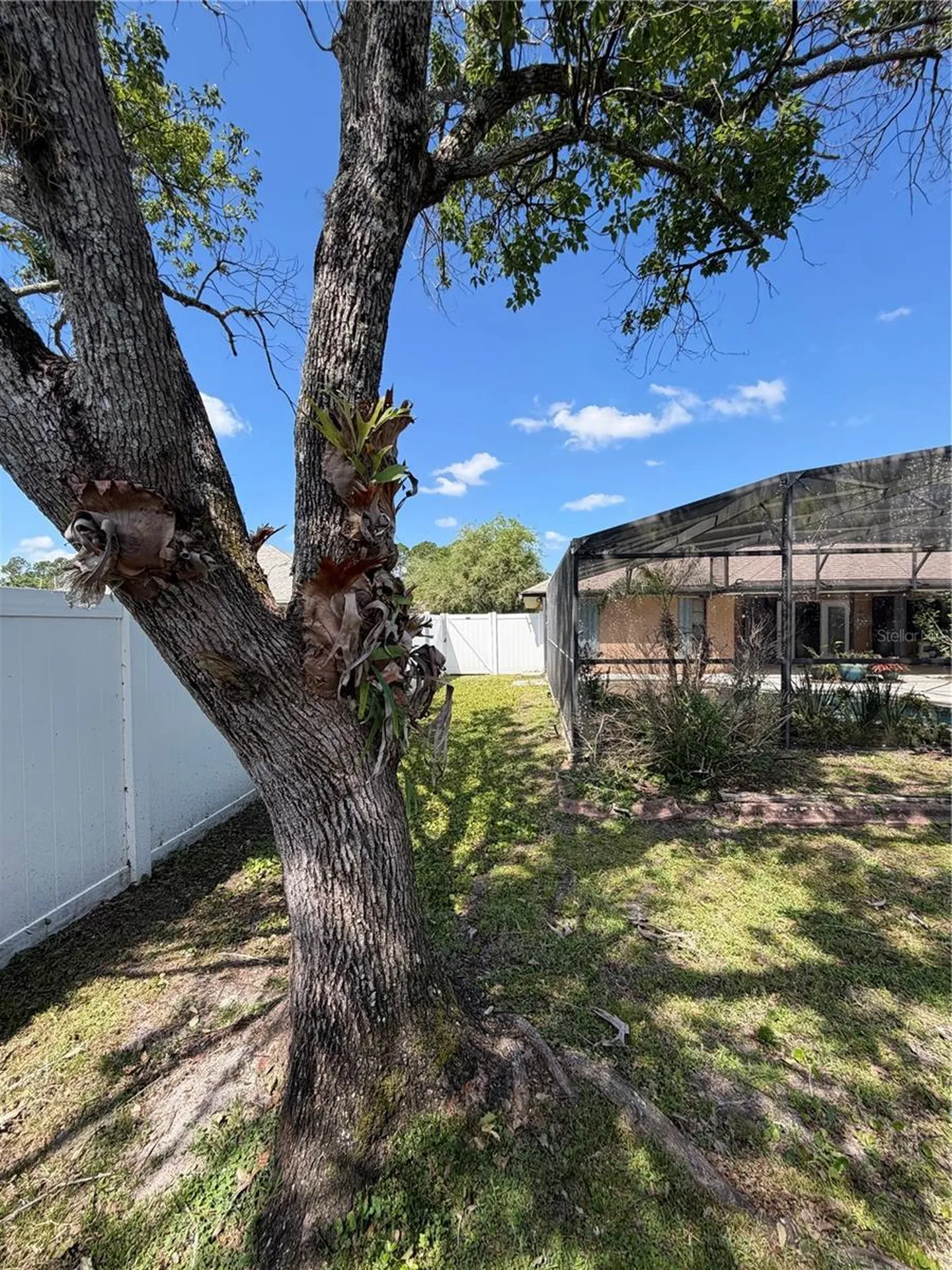 2243 Bancroft Boulevard Orlando FL 32833