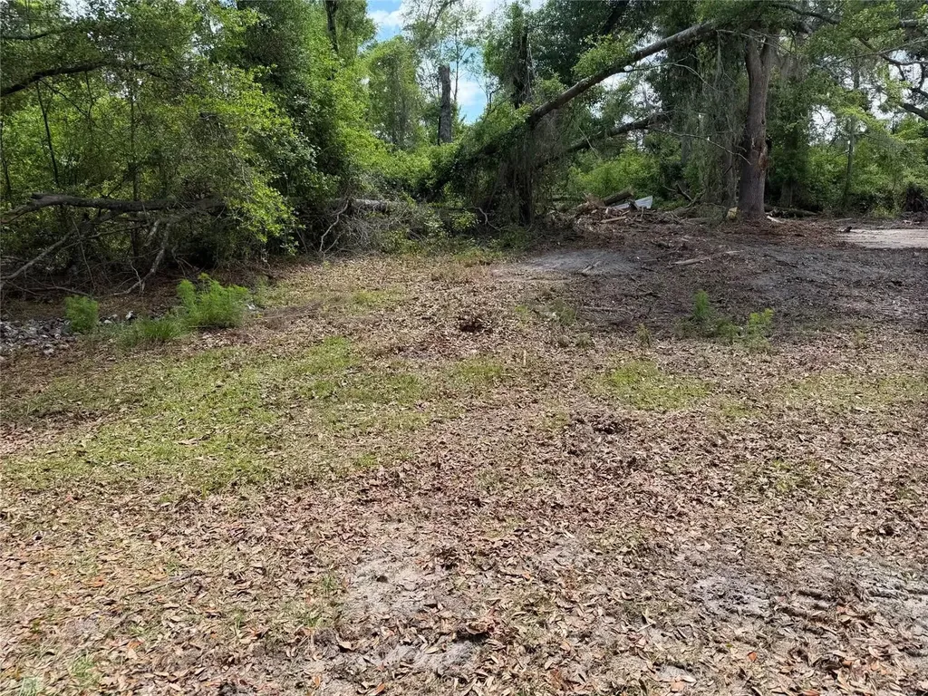 8041 NW Cr 152 Jennings FL 32053