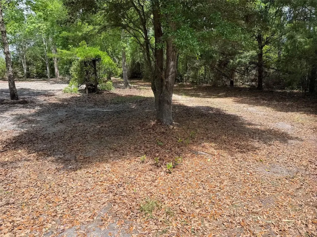 8041 NW Cr 152 Jennings FL 32053