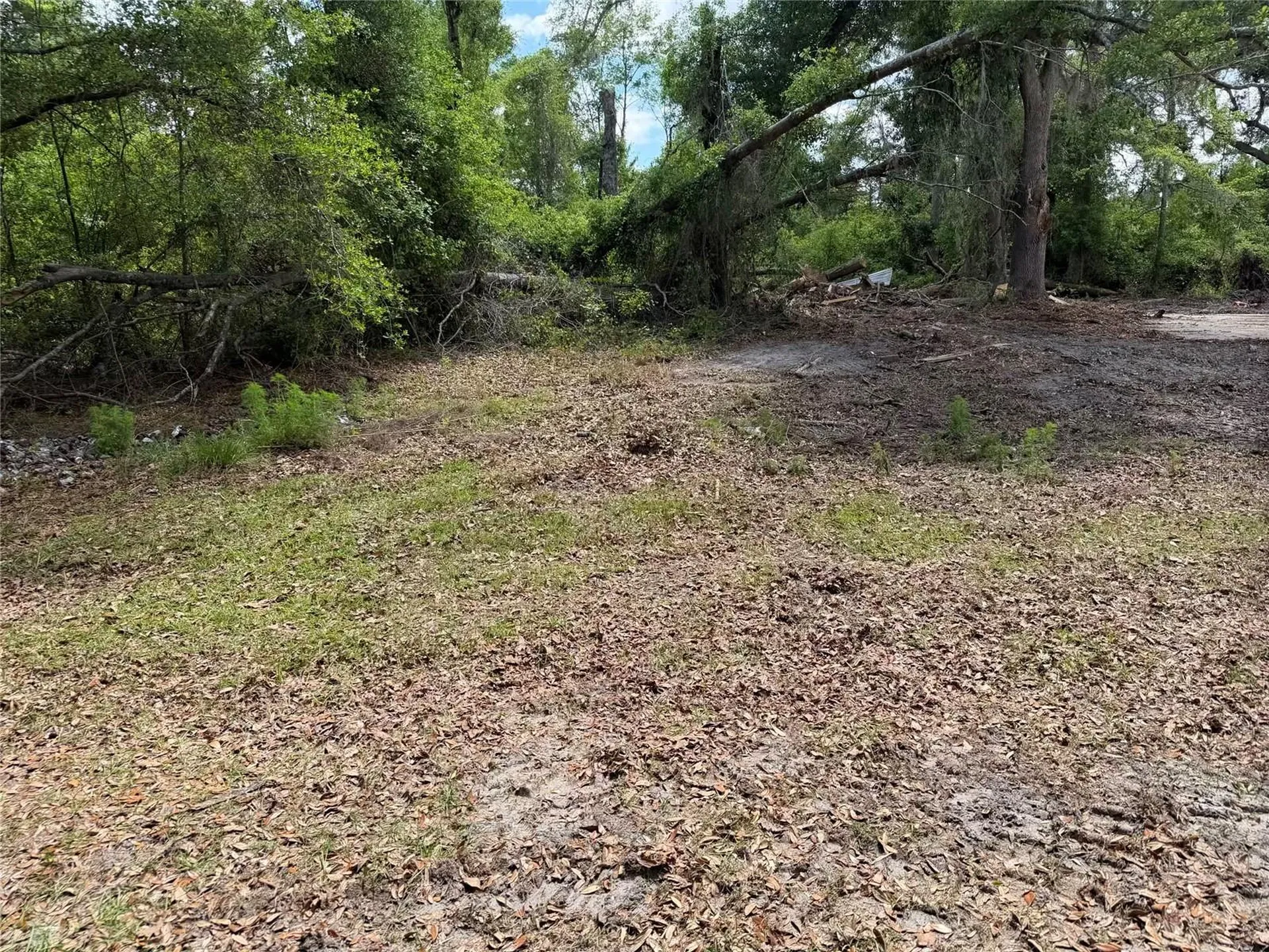 8041 NW Cr 152 Jennings FL 32053