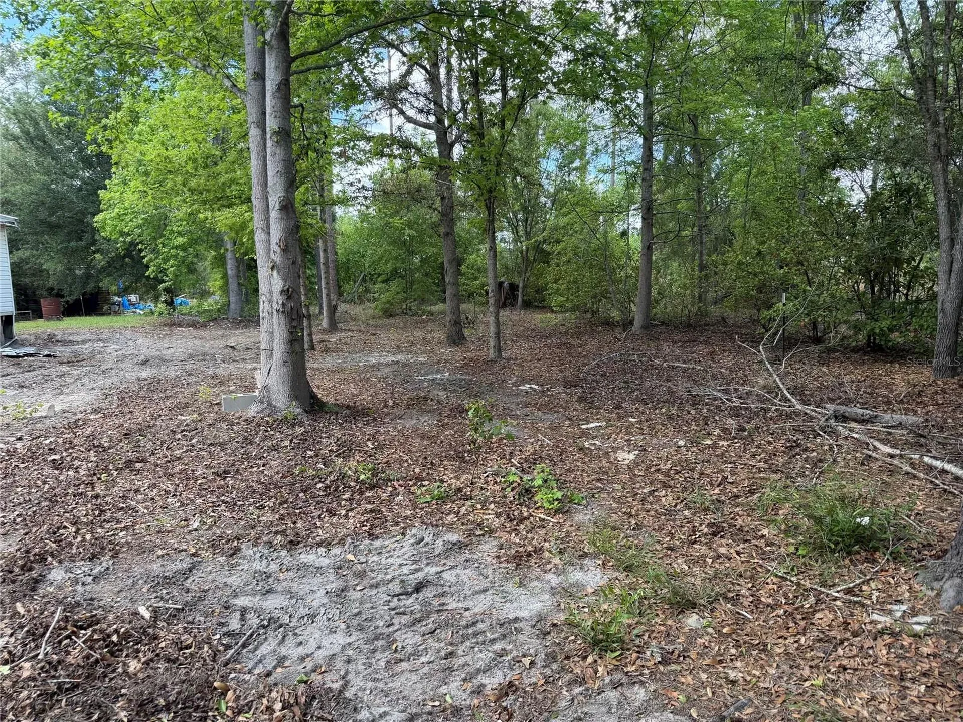 8041 NW Cr 152 Jennings FL 32053