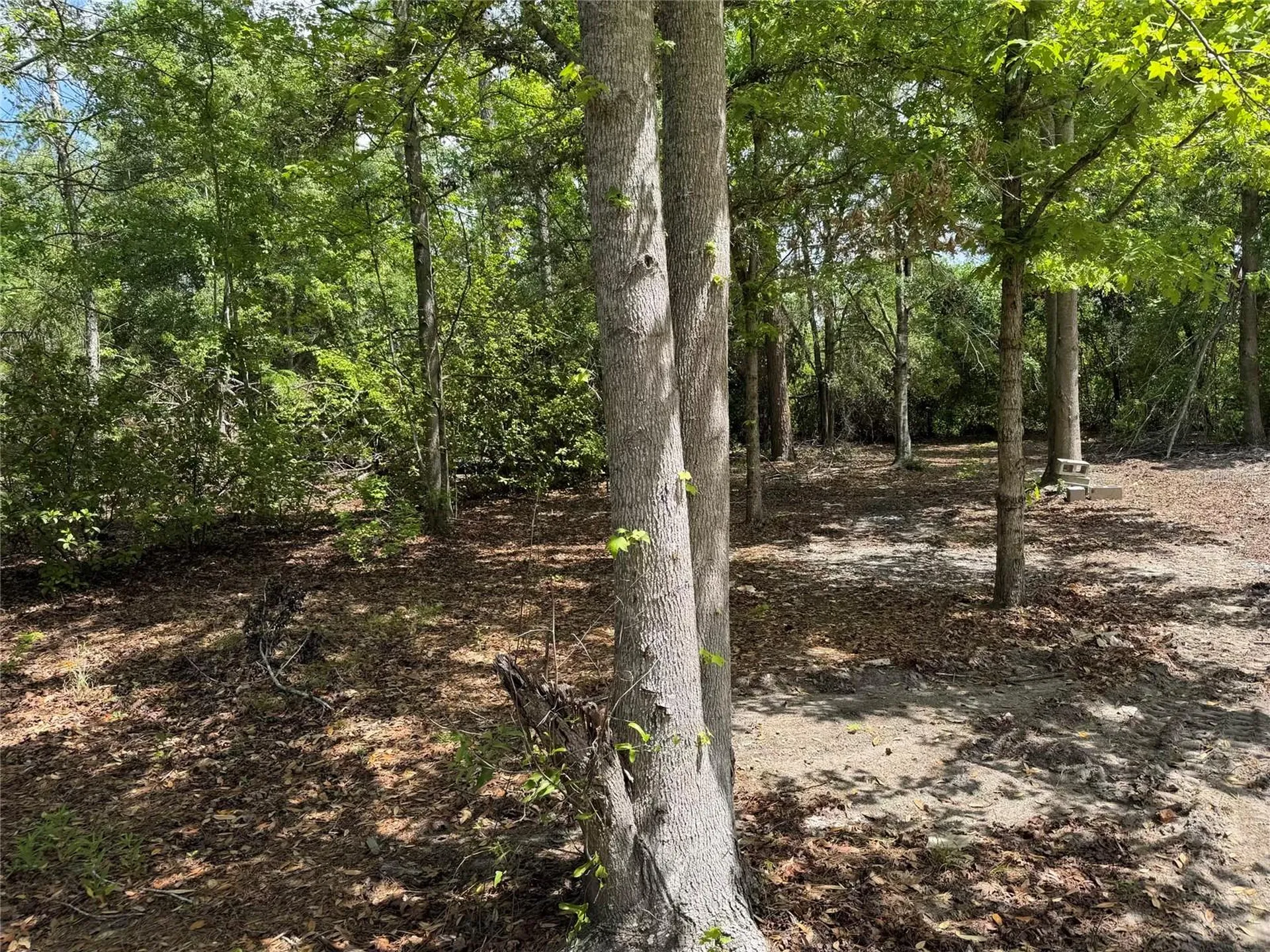 8041 NW Cr 152 Jennings FL 32053