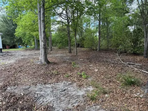 8041 NW Cr 152 Jennings FL 32053