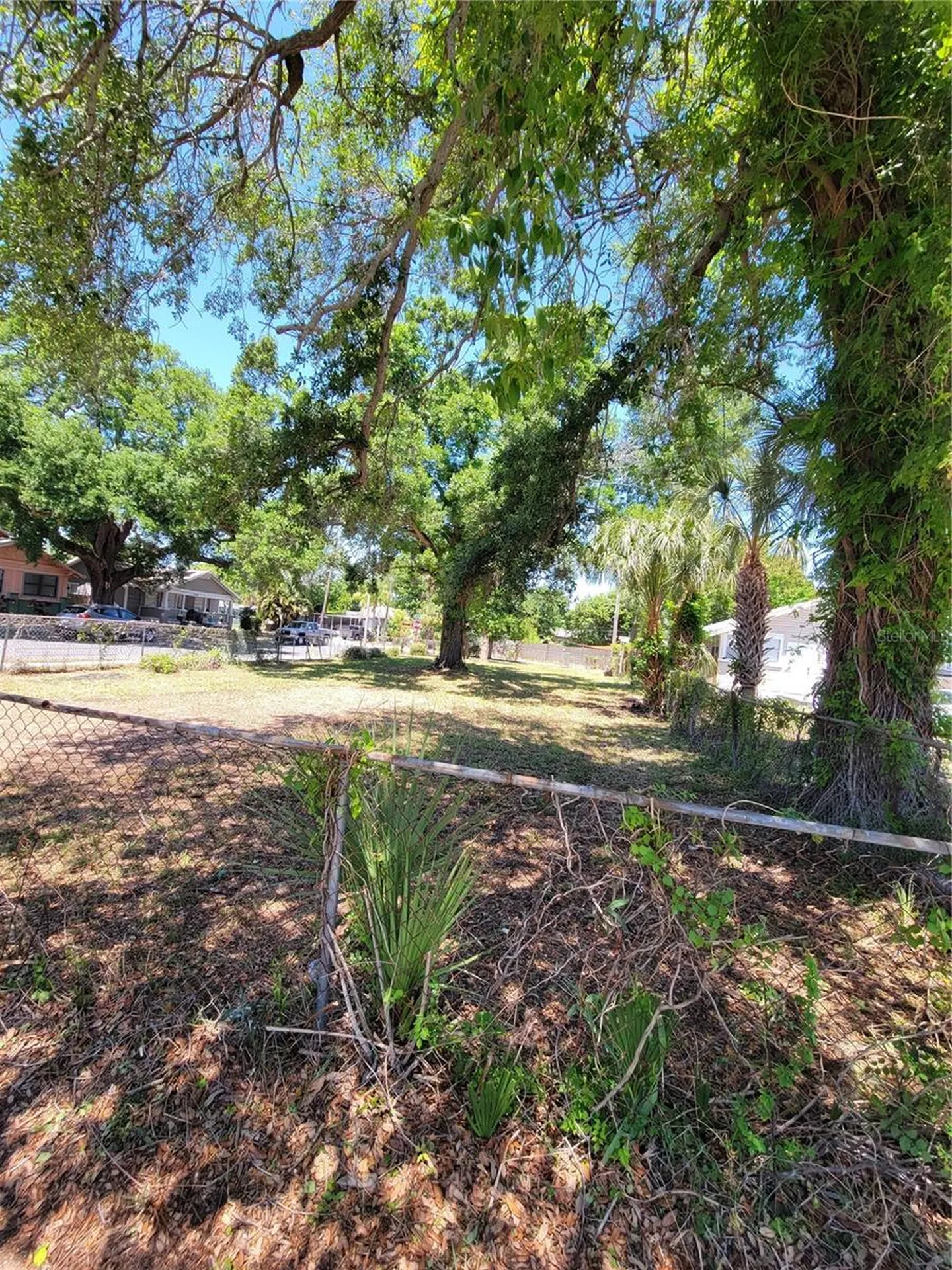 Newton Avenue S St Petersburg FL 33705