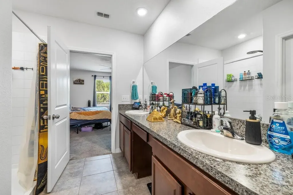 3703 Globe Thistle Drive Tampa FL 33619