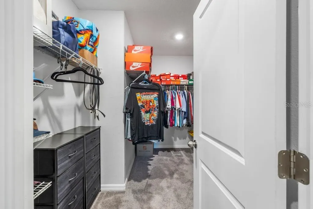3703 Globe Thistle Drive Tampa FL 33619