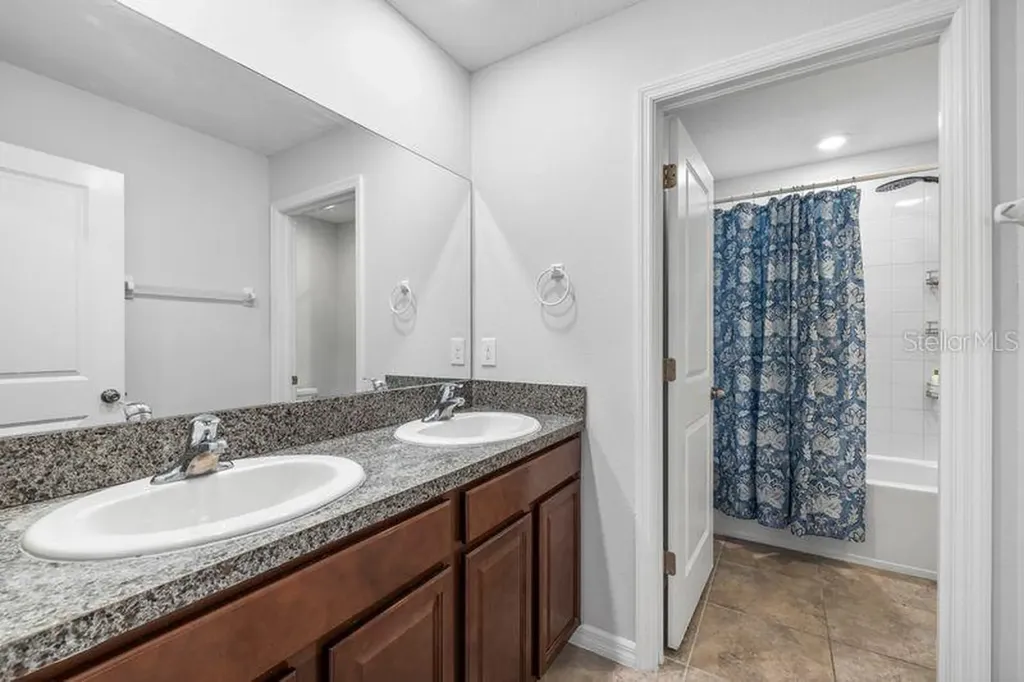 3703 Globe Thistle Drive Tampa FL 33619