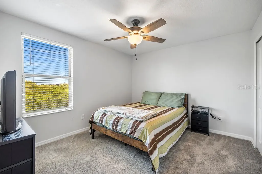 3703 Globe Thistle Drive Tampa FL 33619