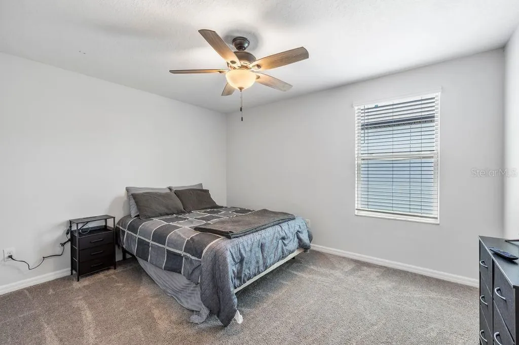 3703 Globe Thistle Drive Tampa FL 33619
