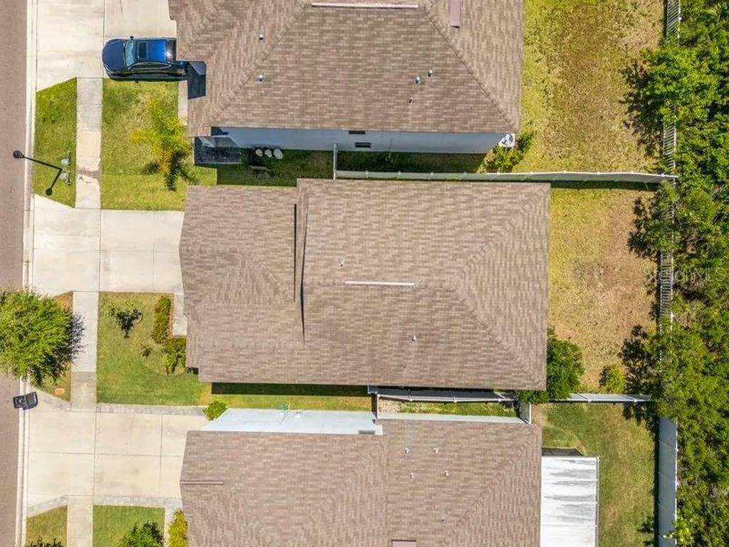 3703 Globe Thistle Drive Tampa FL 33619