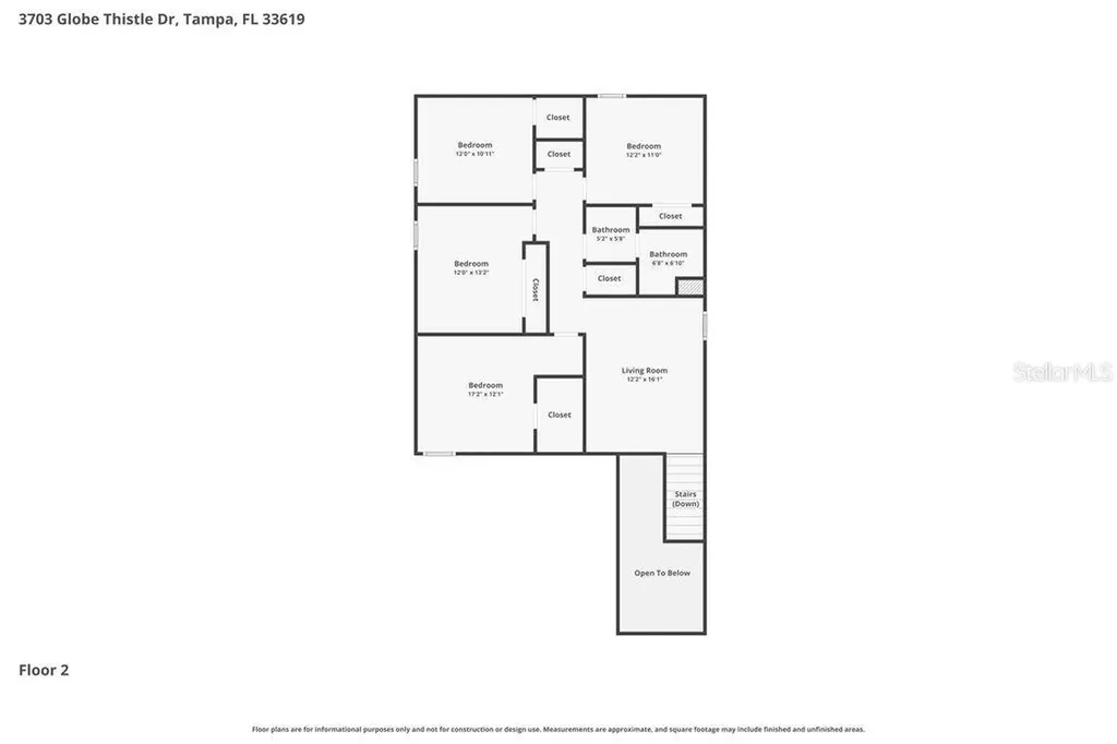 3703 Globe Thistle Drive Tampa FL 33619