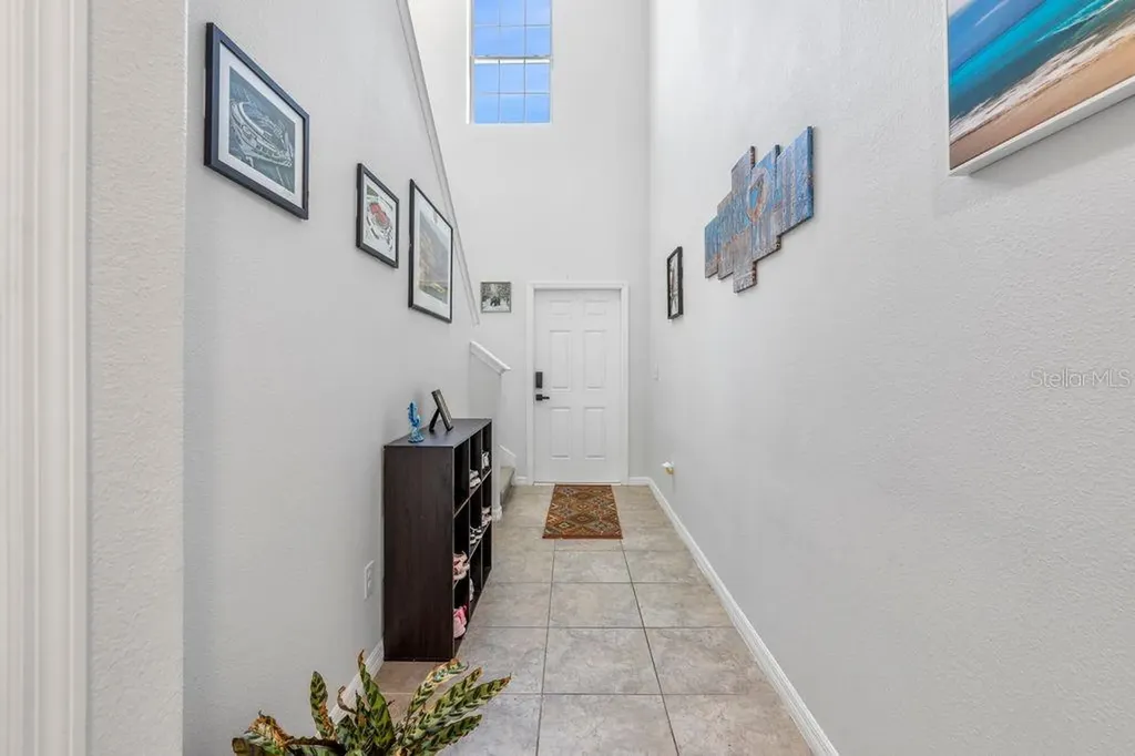 3703 Globe Thistle Drive Tampa FL 33619