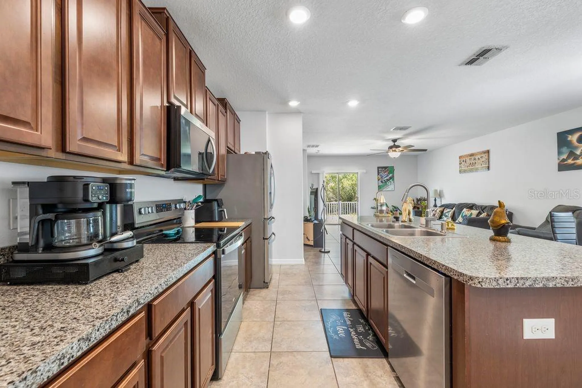 3703 Globe Thistle Drive Tampa FL 33619