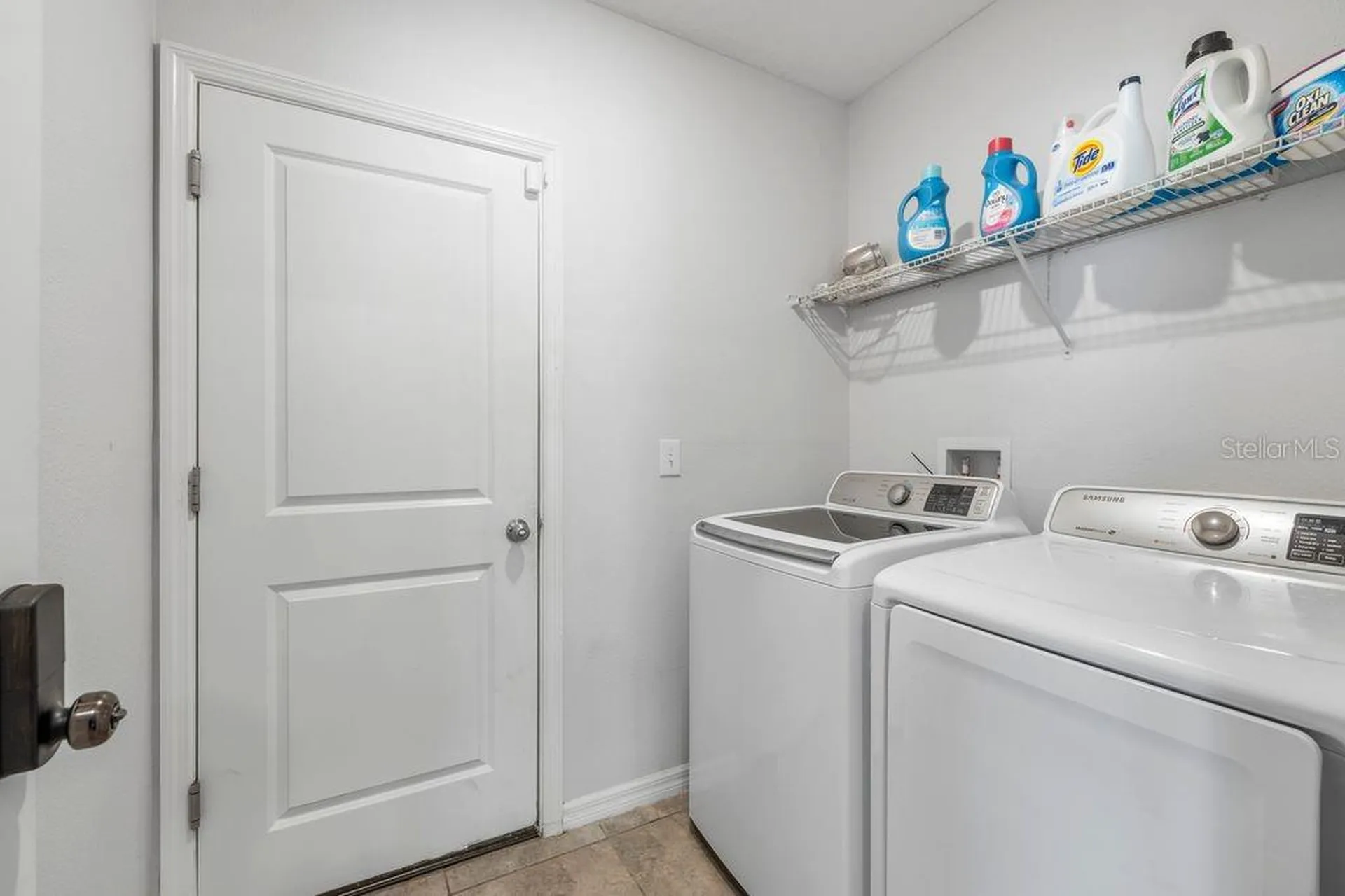 3703 Globe Thistle Drive Tampa FL 33619