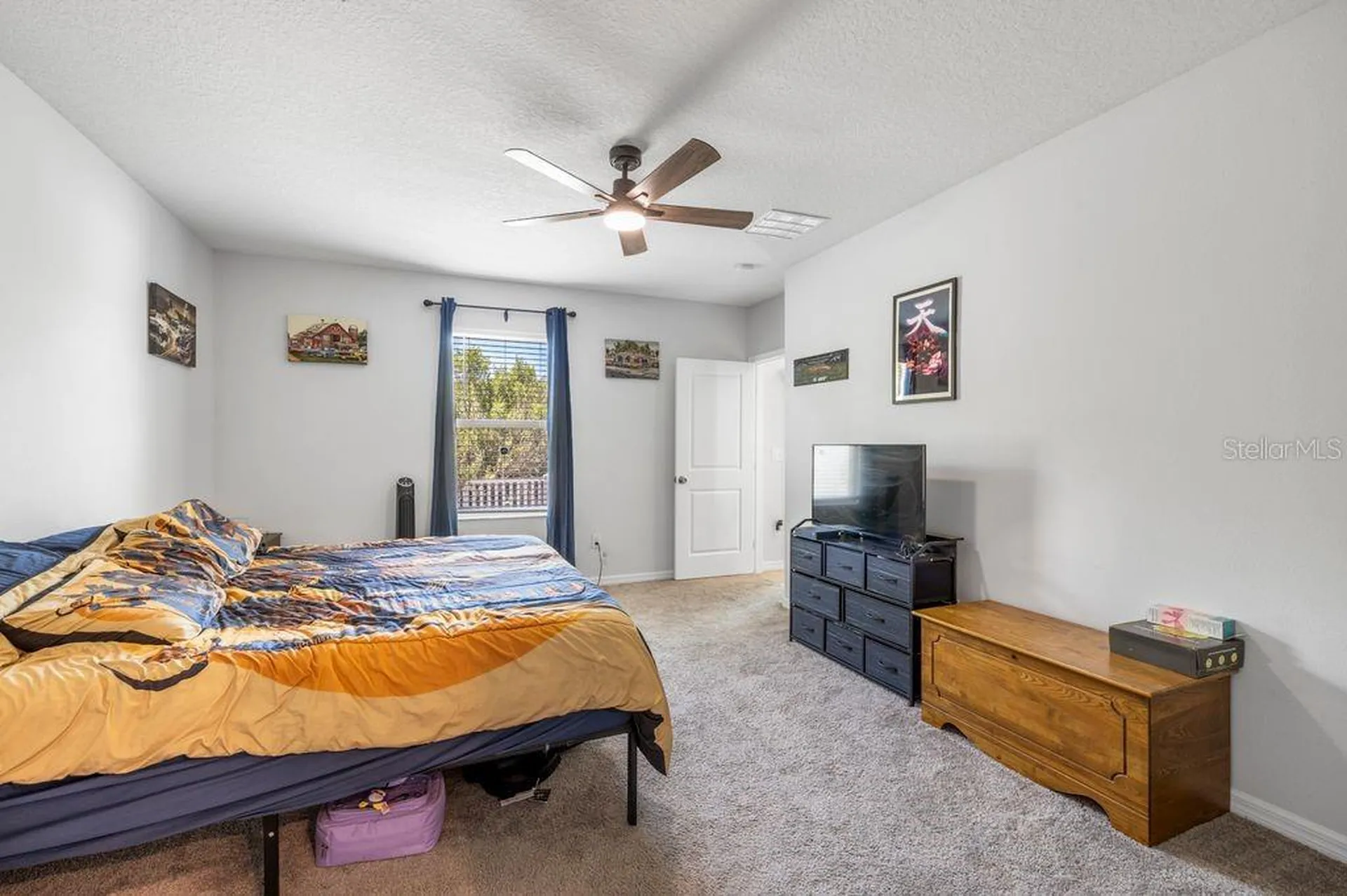 3703 Globe Thistle Drive Tampa FL 33619