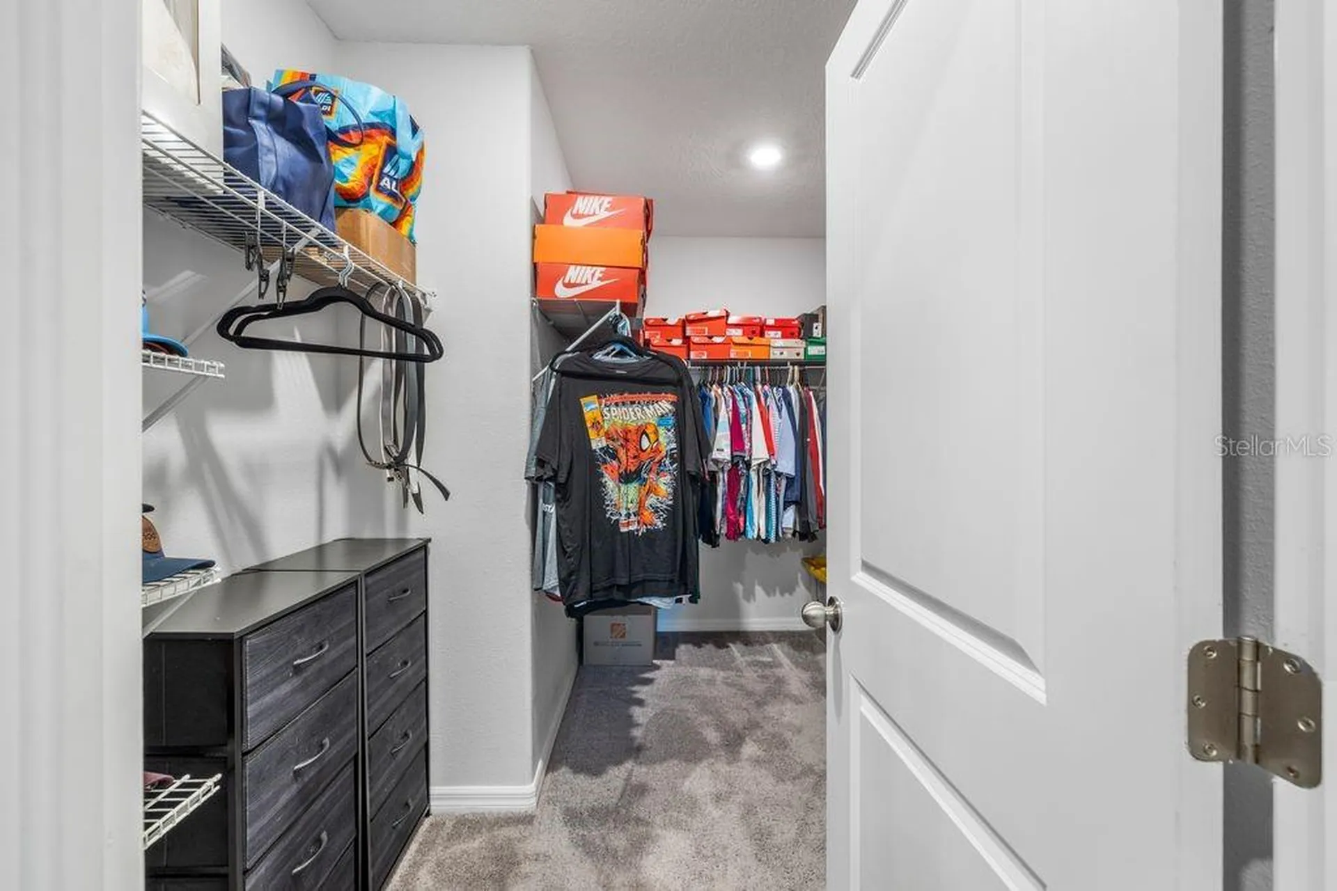 3703 Globe Thistle Drive Tampa FL 33619
