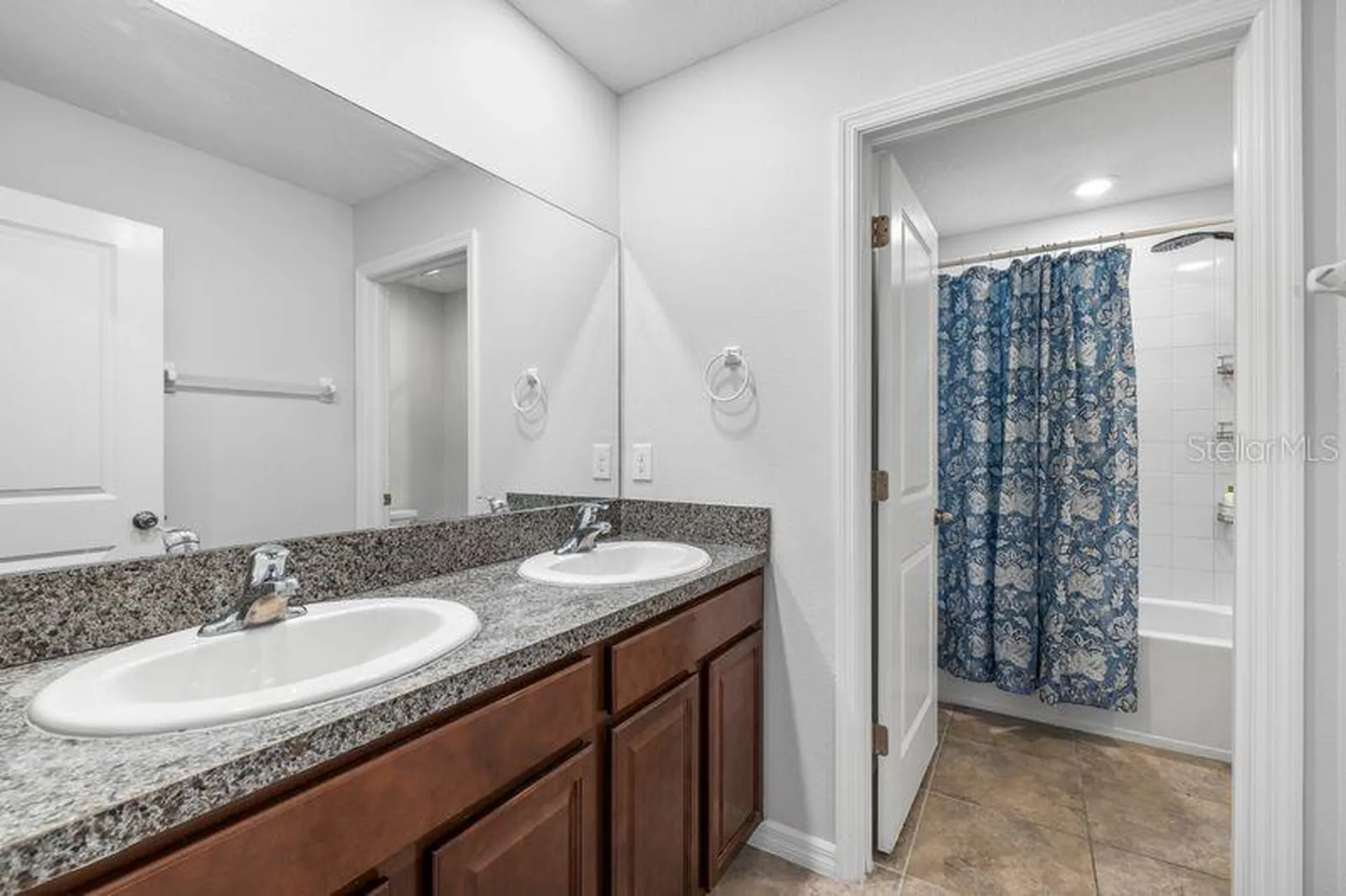 3703 Globe Thistle Drive Tampa FL 33619