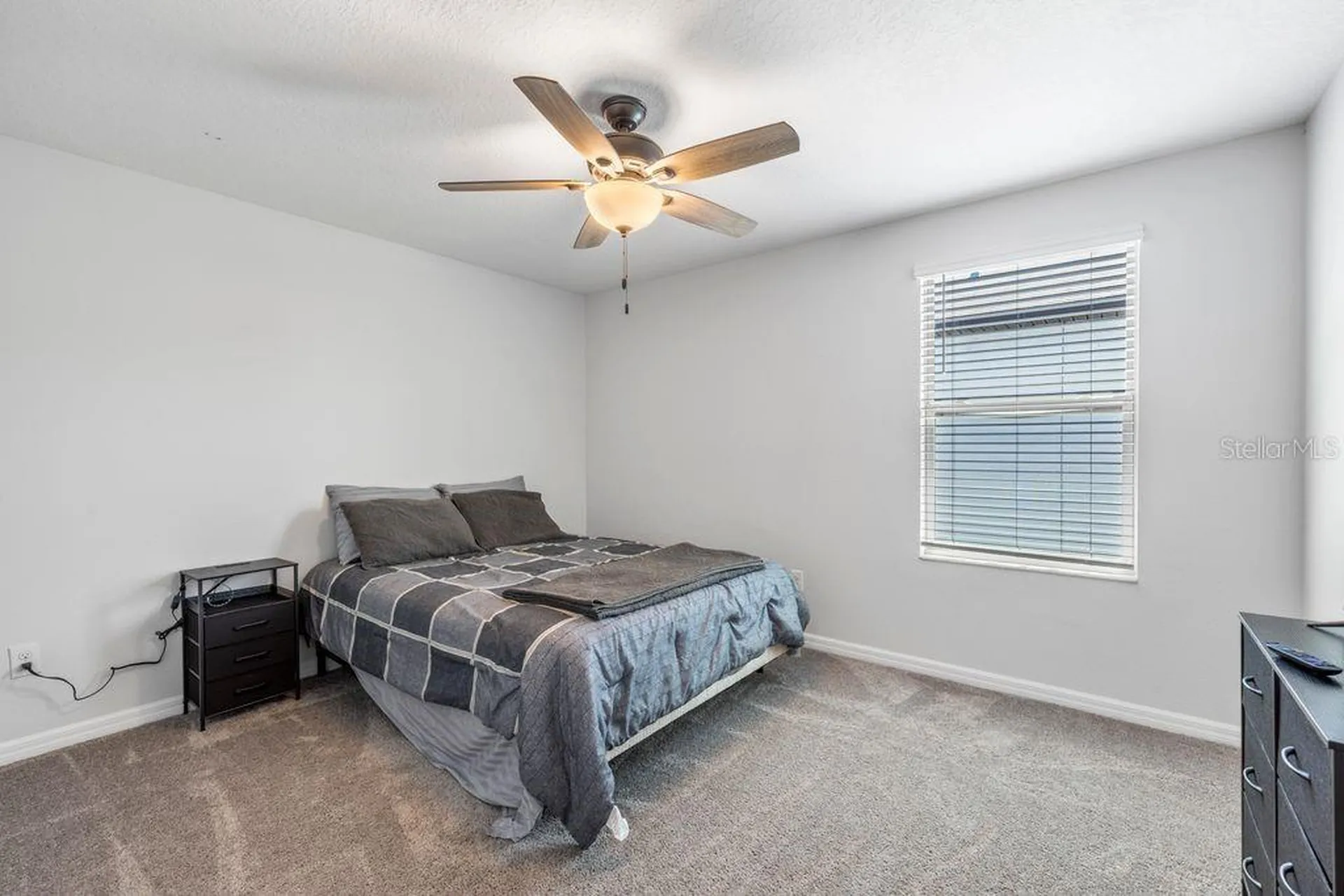 3703 Globe Thistle Drive Tampa FL 33619