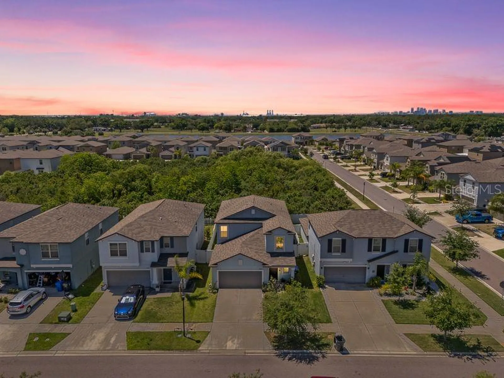 3703 Globe Thistle Drive Tampa FL 33619