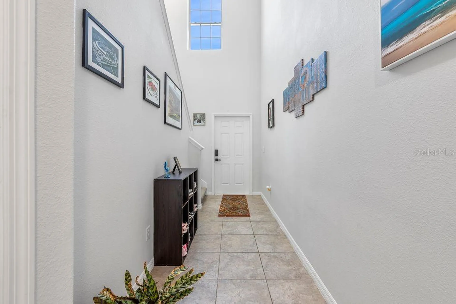 3703 Globe Thistle Drive Tampa FL 33619