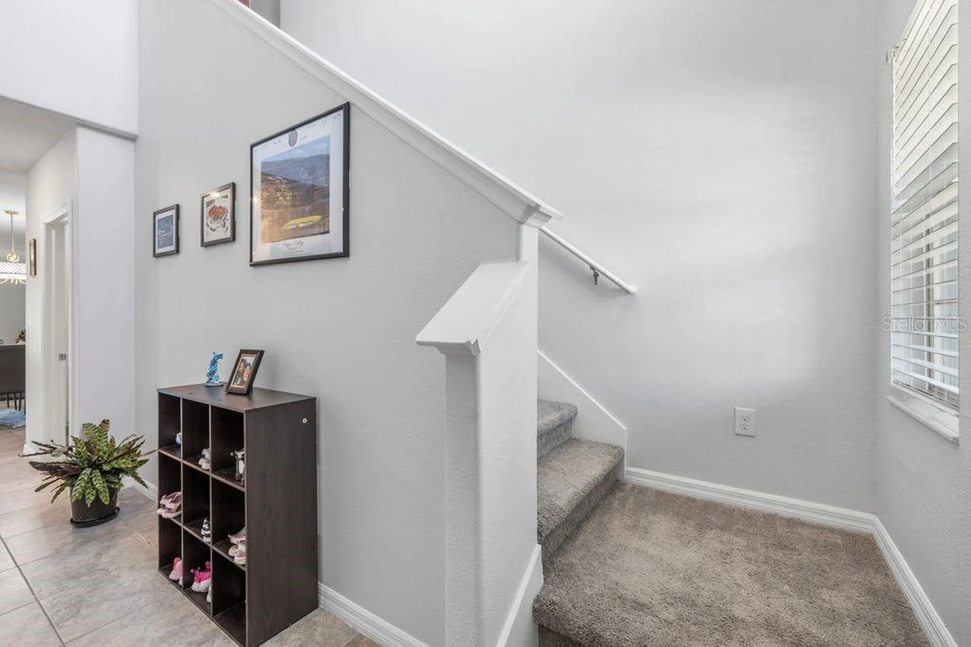 3703 Globe Thistle Drive Tampa FL 33619