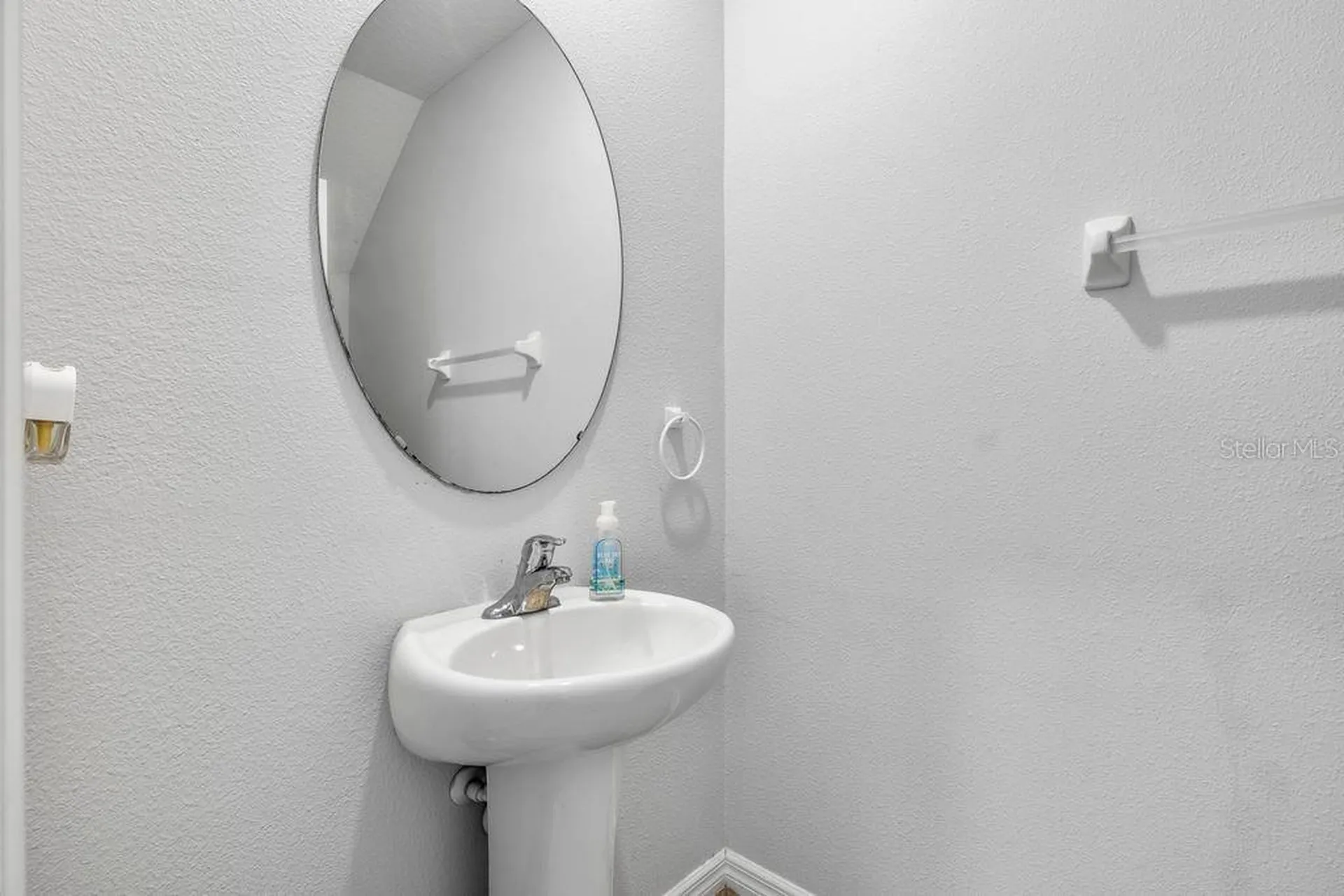 3703 Globe Thistle Drive Tampa FL 33619