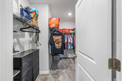 3703 Globe Thistle Drive Tampa FL 33619