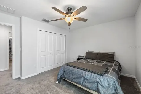 3703 Globe Thistle Drive Tampa FL 33619