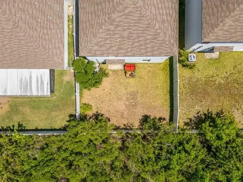 3703 Globe Thistle Drive Tampa FL 33619