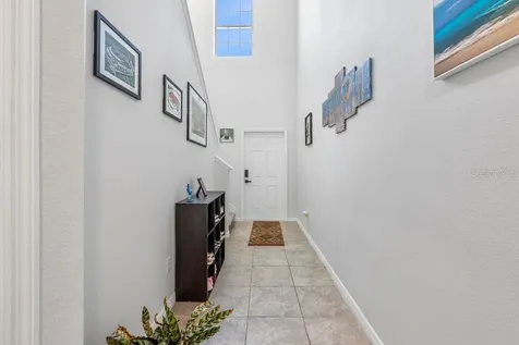 3703 Globe Thistle Drive Tampa FL 33619