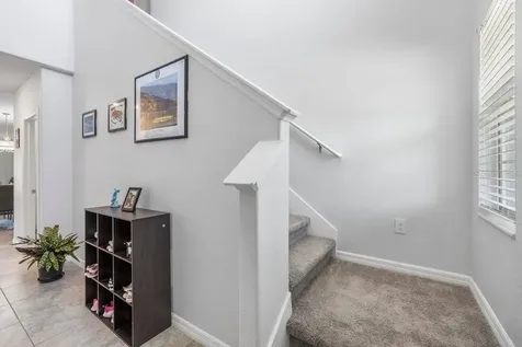 3703 Globe Thistle Drive Tampa FL 33619