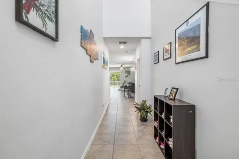 3703 Globe Thistle Drive Tampa FL 33619