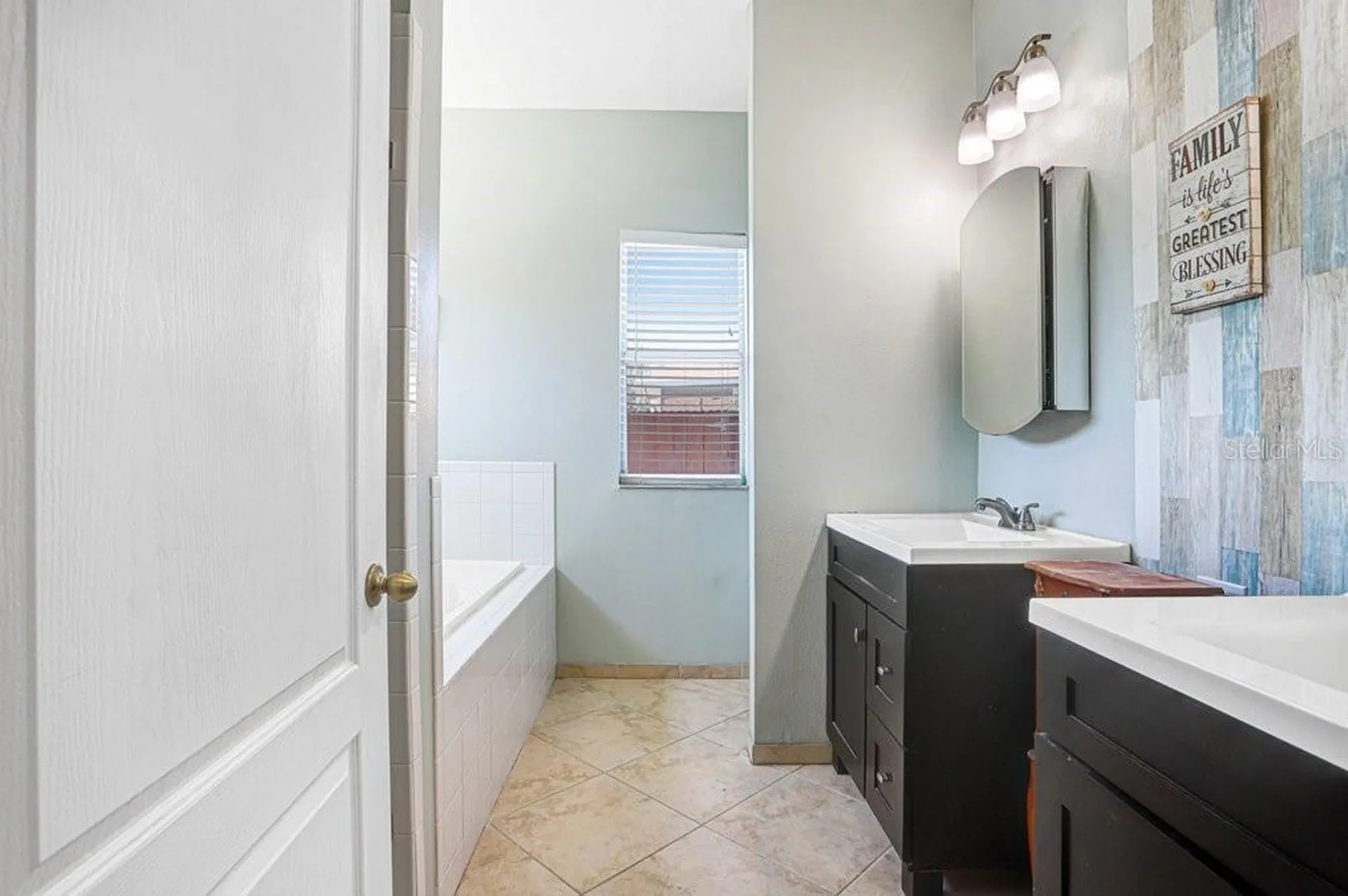 6915 Monarch Park Drive Apollo Beach FL 33572