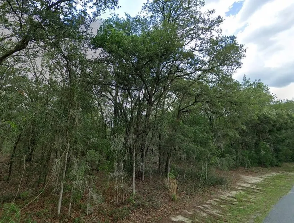1449 E Wedgewood Lane Hernando FL 34442