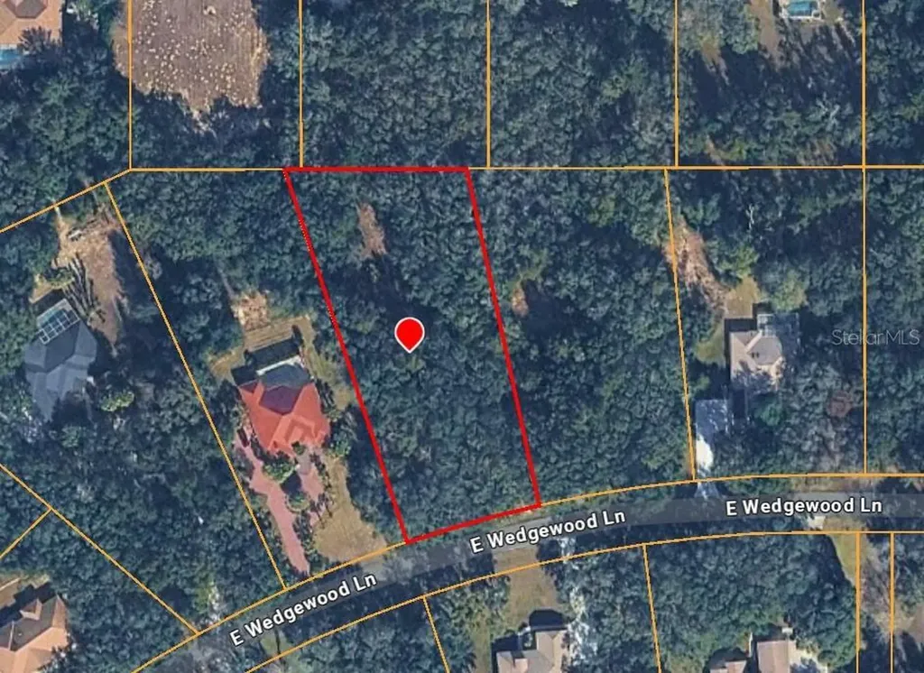 1449 E Wedgewood Lane Hernando FL 34442